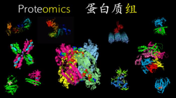 西湖大学郭天南：从「元宇宙」视角，探秘蛋白质组大数据