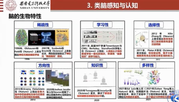 焦李成院士：进化优化与深度学习的思考