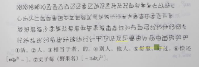 合合信息携手高校，发布业内首个古彝文编码「大字典」