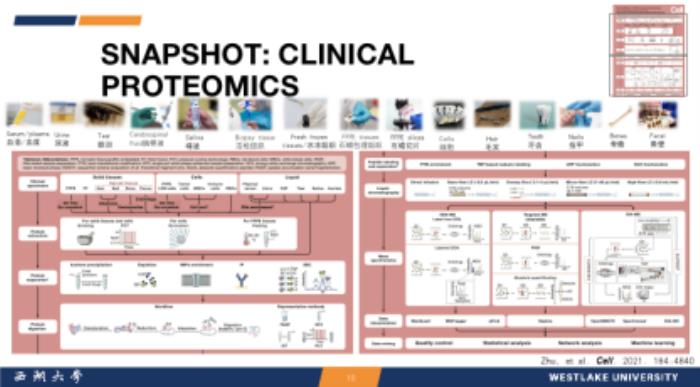西湖大学郭天南：从「元宇宙」视角，探秘蛋白质组大数据