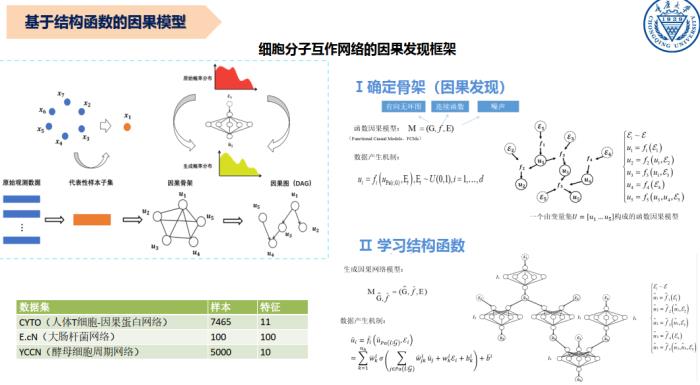 重庆大学刘礼：因果学习与应用