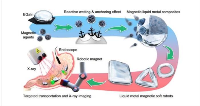 我国开发出液态金属磁性微型软体机器人：可进入人体内部狭窄区域诊疗