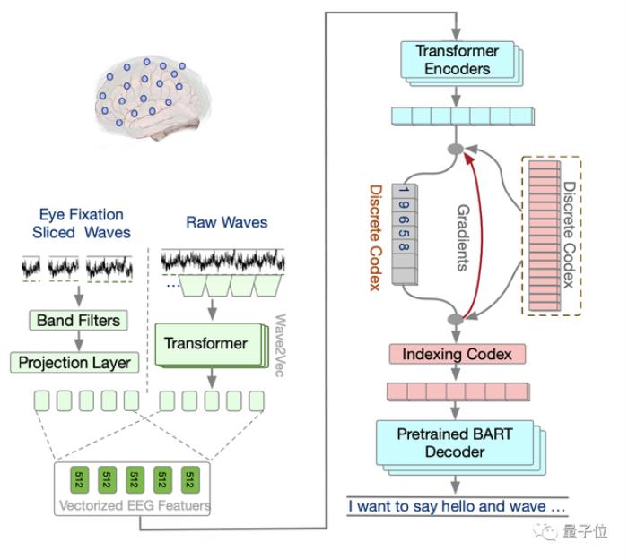 华人团队用大模型实现“读心术”：大脑活动直接变文字 | NeurIPS 2023