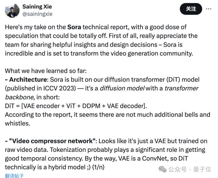 爆火Sora参数规模仅30亿？谢赛宁等大佬技术分析来了