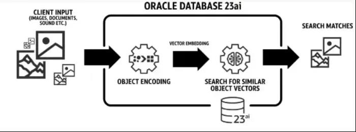 Oracle Database 23ai正式发布！近50年历史数据库巨头迈入AI时代