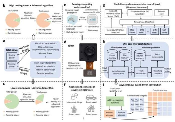 自动化所研发脉冲动态计算的毫瓦级超低功耗异步感算一体类脑芯片
