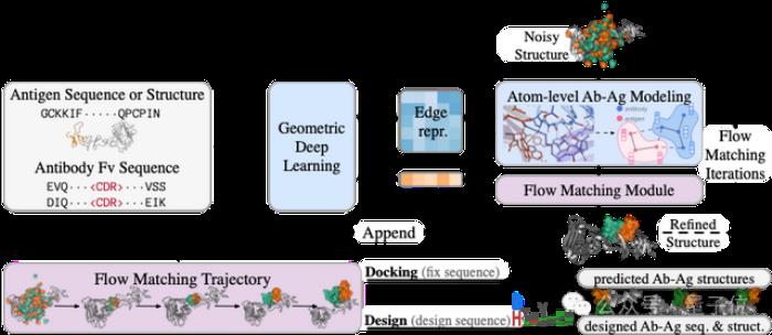与AlphaFold3持平！国产抗体设计生成式AI大模型发布，能同时预测抗原抗体复合物结构和抗体从头设计